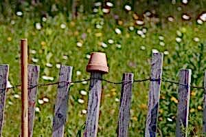 Bahçenizi Koruyacak En İyi Çit Seçenekleri