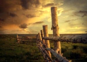 Çim Çit Uygulamalarıyla Bahçenizi Renklendirin